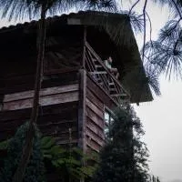 Bosque de Niebla, hotel a Tlatlauquitepec