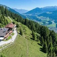 Galtalm - Alpine Roots, hotell sihtkohas Fulpmes