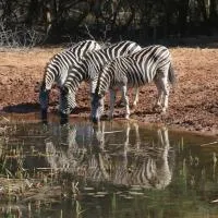 Bushbaby Lodge & Camping, hotel u gradu Hluhluwe