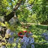 Mitrovića kuća – hotel w mieście Arandelovac