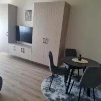 Modernus 1 kambario butas, hotel Šiauliaiban