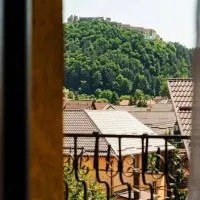 MAX International Hotel & Resort, hotel in Râşnov
