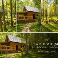 W Sam Las Komfortowy domek na skraju lasu z gorącą balia, hotel em Orzyny