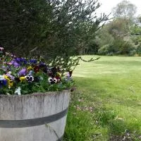 Padthaway Caravan Park, hotel a Padthaway