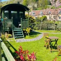 Shepherds hut, Eco, Log burner Hot tub NY moors, hotell i Hackness