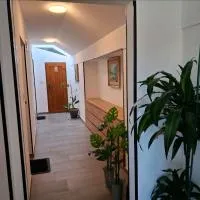 Studio apartmani Atlantik, хотел в Nedelišće