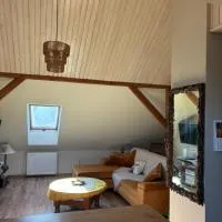 Apartament 2-pokojowy, z atrakcjami dla dzieci, hotel a Kolonia Salnia