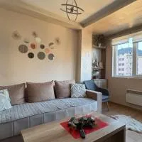 Bokica 1 Apartman Zlatibor، فندق في زلاتيبور
