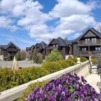 Viesnīca Monterai Resort pilsētā Pojana Brašova