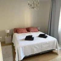 Paimenkatu 1: Savonlinna şehrinde bir otel