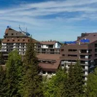 Alpin Resort Hotel, hotel v destinaci Poiana Brašov