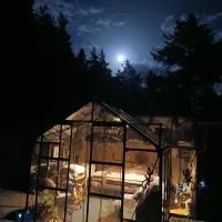 L'Ô Ré des Bois, hébergement insolite Clair de Lune, Bain norvégien, sauna, kota, Hotel in Laussonne