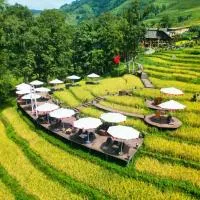 MT Homestay Terraced Fields - Sa Pa Trekking Tour Tả Van, hotel u gradu Sa Pa