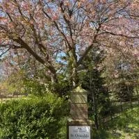 St Oswalds Estate Lodges, hotel i Whitby