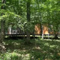 Nina's winery forest house in Kiketi, hotel i Tbilisi