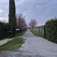 B&B Pizziconi Relax, hotel em Podere Modello