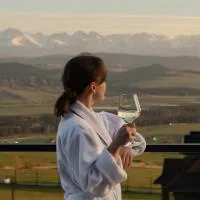 Viesnīca Gorczański Lux Chalet pilsētā Szlembark