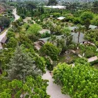 Çıralı Likya Yanartaş Bungalow, hotel din Cıralı