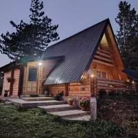 Planinska Brvnara Zlatni Bor, hotel di Nedići