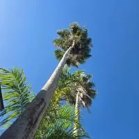 Sea Shell Palms, Ocho Rios, ξενοδοχείο σε Ocho Rios