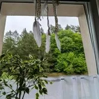 Apartmán s terasou REZIDENCE 300 Všemina, hotel a Všemina