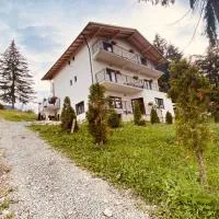 Casa dintre Brazi, hotel v destinaci Statjunea Borsa