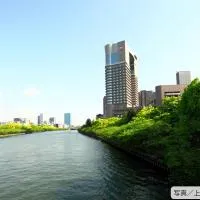 Imperial Hotel Osaka, hotel v Osaki