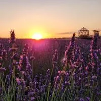 La bulle ico, hotell i Valensole