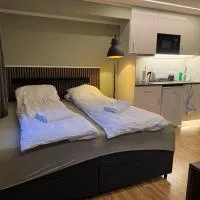 Brand new mini apartment with kitchen, hotel v destinaci Åmot