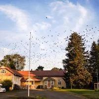Holliteos:  bir otel