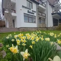 Belvedere GreșuLepșa, hotel en Greşu