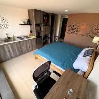 S09 SUITE KING Premium Suite TEC CEM Cocineta WiFi Balcón Parking Terraza, khách sạn ở Mexico City