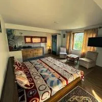 Gound Floor Studio Appartment, hotel in Kulu