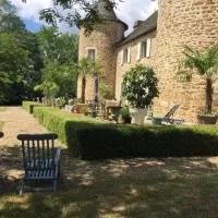 Chateau de Lestang, ξενοδοχείο σε Savignac