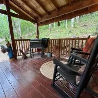 Little Bear Tiny Cabin, hotel en Cosby