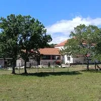 MORLAK - Accommodation B&B โรงแรมในPolača