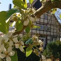 Zwischen Acker und Herz Hartmannshof, khách sạn ở Algermissen