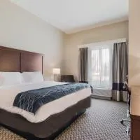 Comfort Inn & Suites Rock Hill Northeast, hotel in Rock Hill