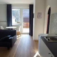 Familienapartments Wildemann, hotel en Wildemann