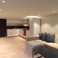 Centrally located, fully furnished, modern studio，德拉門的飯店