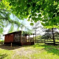 Domek Letniskowy Swobodna - Warmia i Mazury, hotel en Swobodna