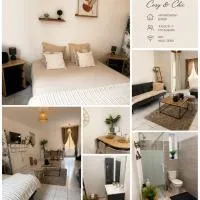 Grand Studio avec cour, hotel u gradu 'Vierzon'