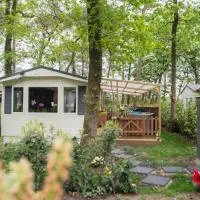 UMABELL Forest Dream Cozy Nature Retreat、Zuidwoldeのホテル