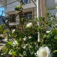 İzol Apart Evleri, Hotel in Kumluca