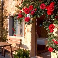 Dana Trail Hotel, hotel em Dana