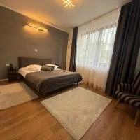 Castle View Apartments, hotel in Făgăraş