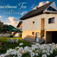 Studio Apartman Tea, Žabljak, hotel din Žabljak