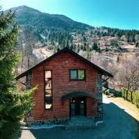 Cabana Vasc, hotel u gradu 'Borsa'