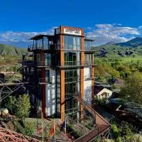 Chiko Group, hotel a Aspindza