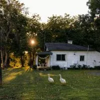 The Cottage next to Cambewarra Estate Winery, hotel em Camberwarra